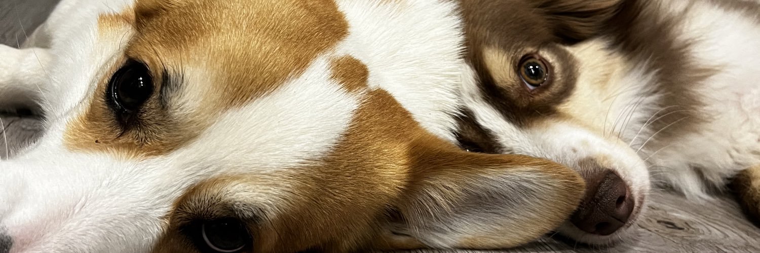 ricplo_'s profile banner image