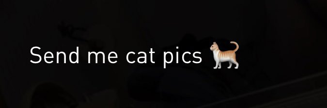 CatsofGrindr's profile banner image