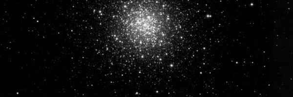 jayjayrose7 Profile Banner