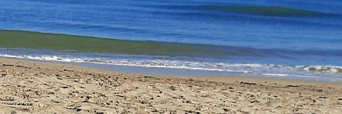 eu_Genia388's profile banner image