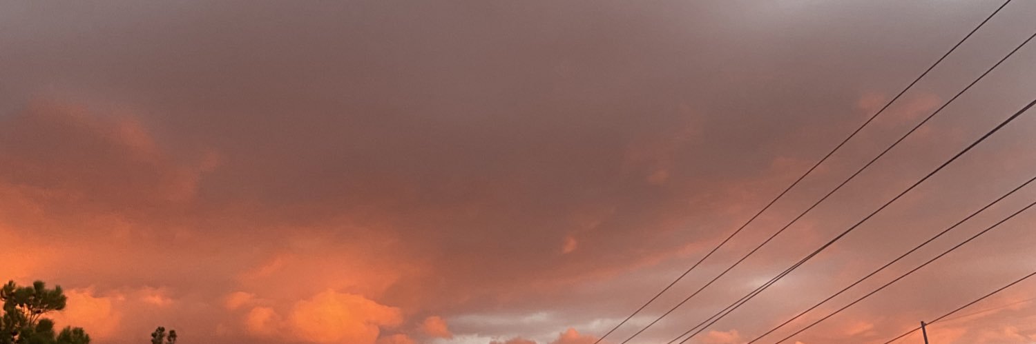 Ileen Martinez banner