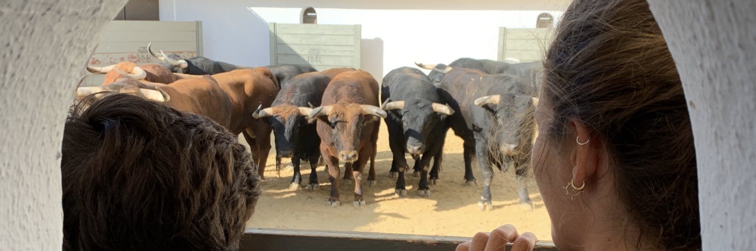 Luis Enríquez banner