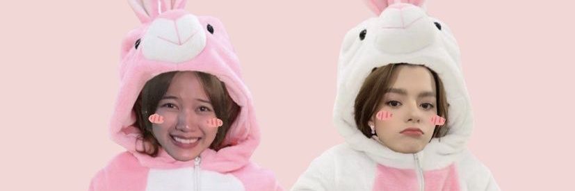 ray 🦕 banner