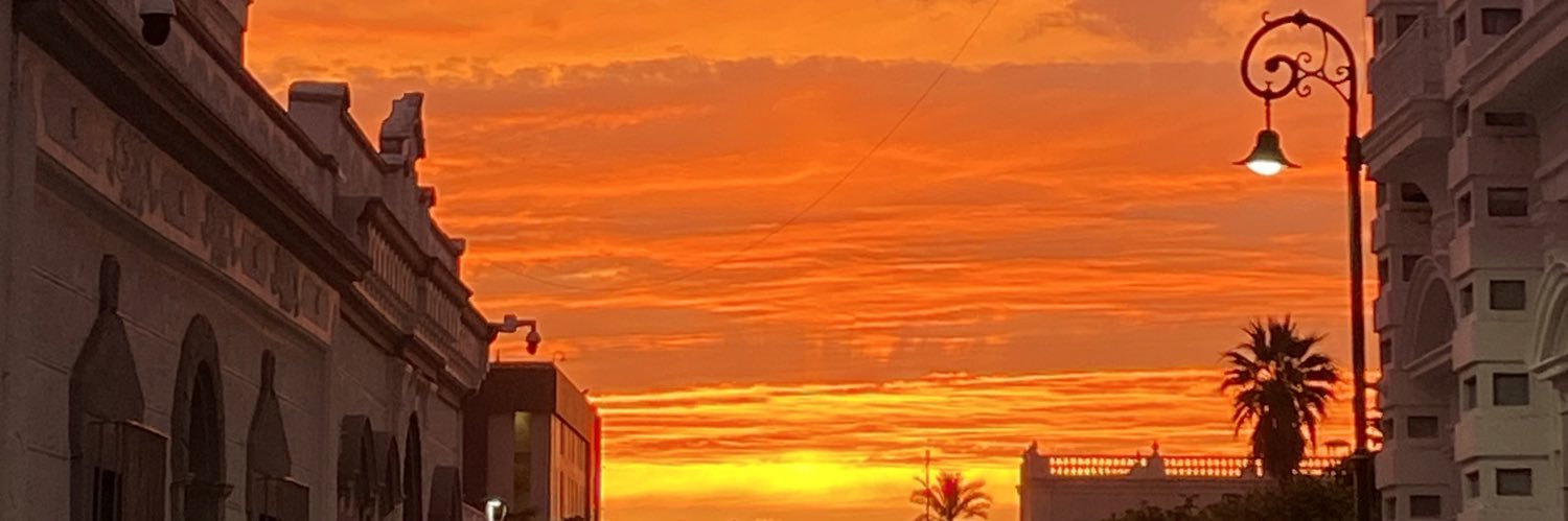 YoSoyLEMO banner