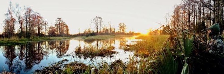 bwcgator's profile banner image