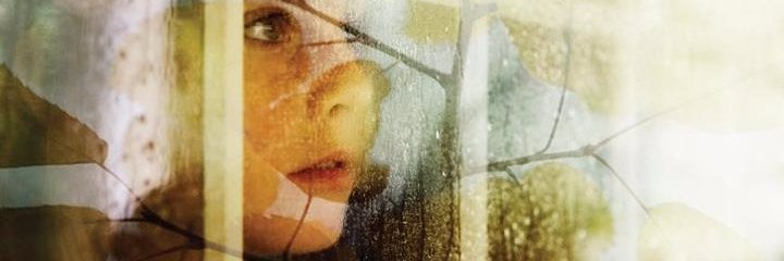 EcoShieldWindow's profile banner image