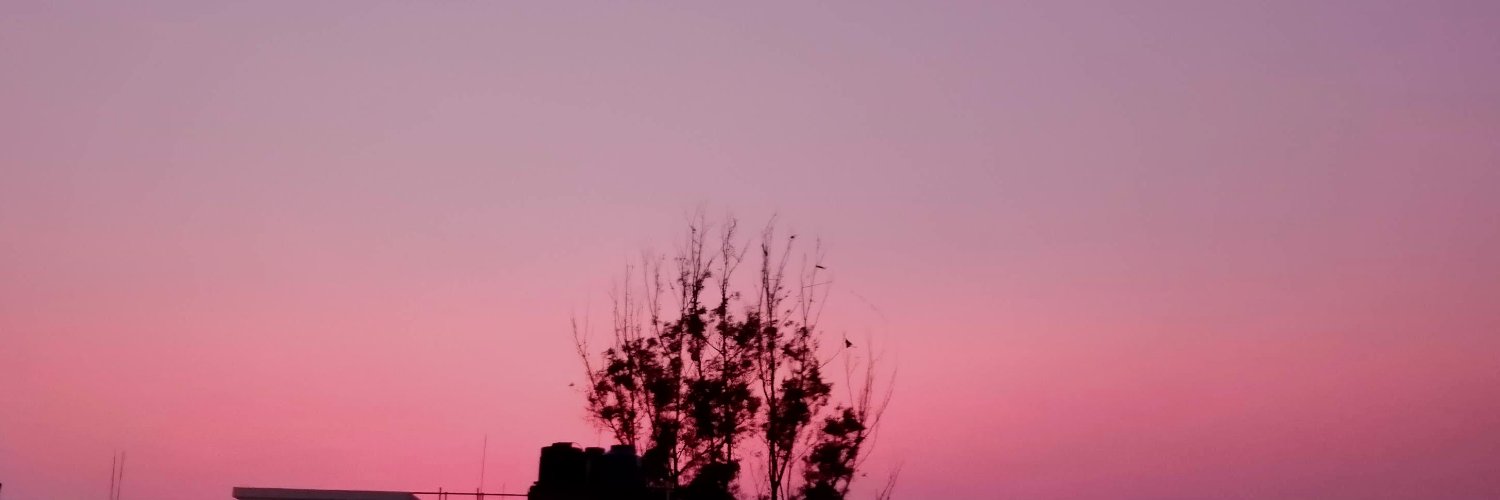 FerchaCortes1's profile banner image