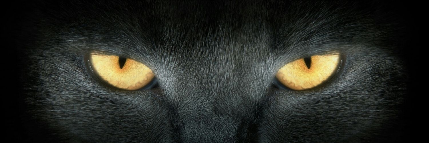 heyujian's profile banner image