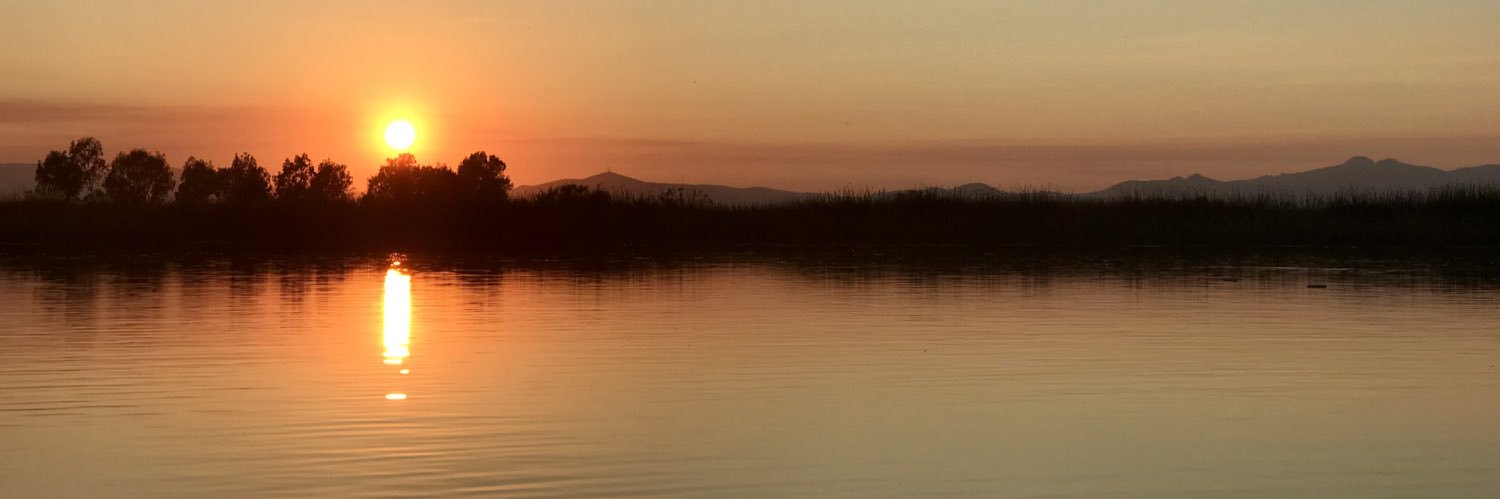 Levi Sumagaysay banner
