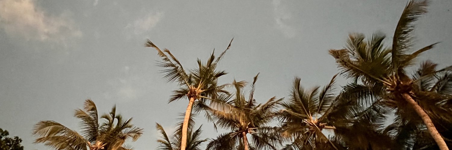 goingwithplanb's profile banner image