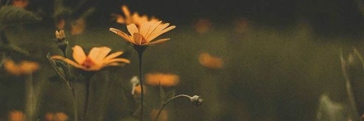 Onlyy_katie's profile banner image