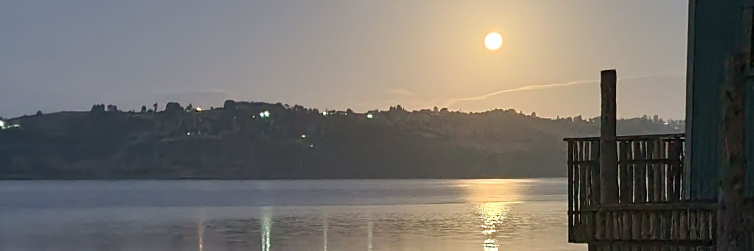 Alexfritzo's profile banner image