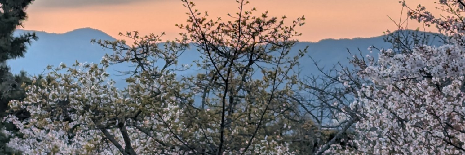 HoKoe2's profile banner image