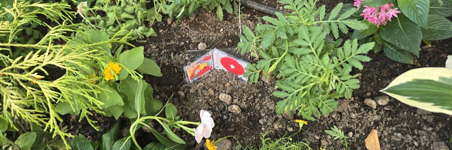 鸙@取引垢 初回ツイフィ🙇‍♀️ banner