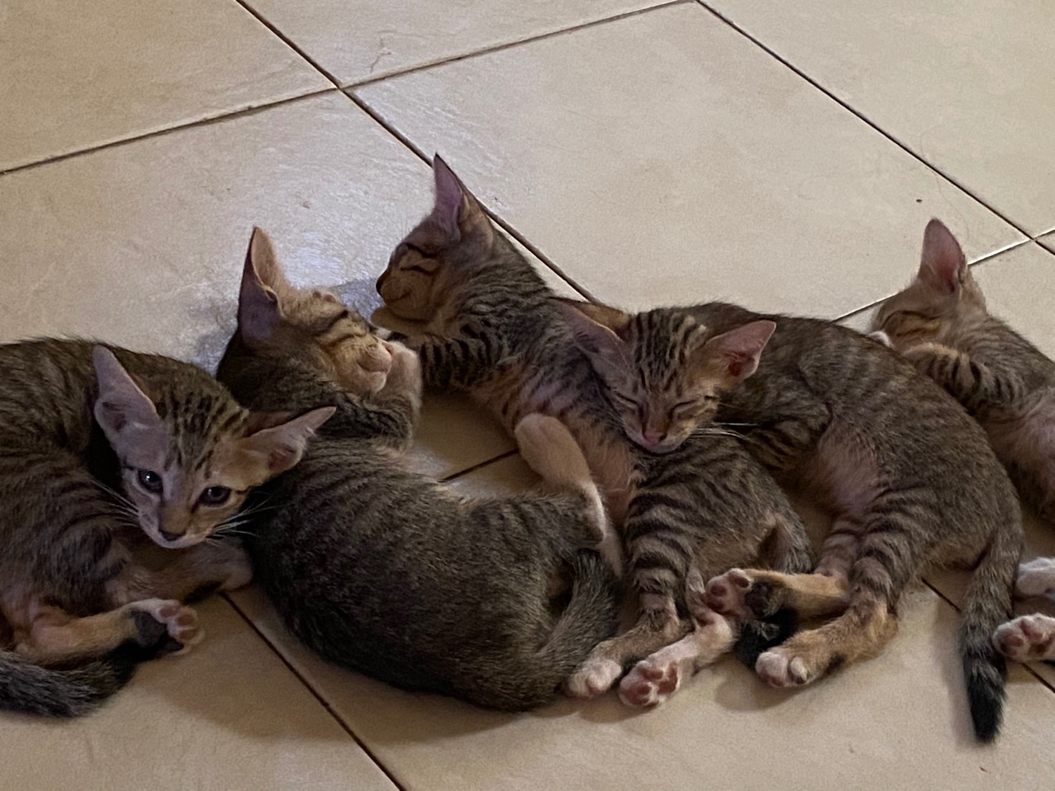 ผู้ชายคนนึง banner