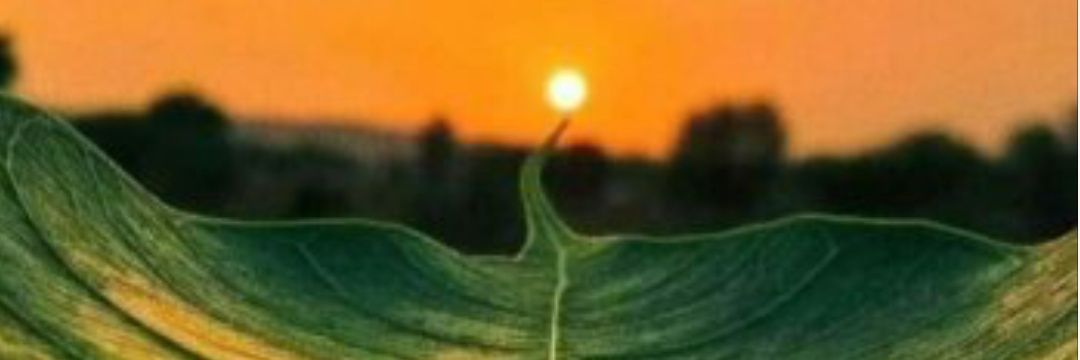 hoca_m_'s profile banner image