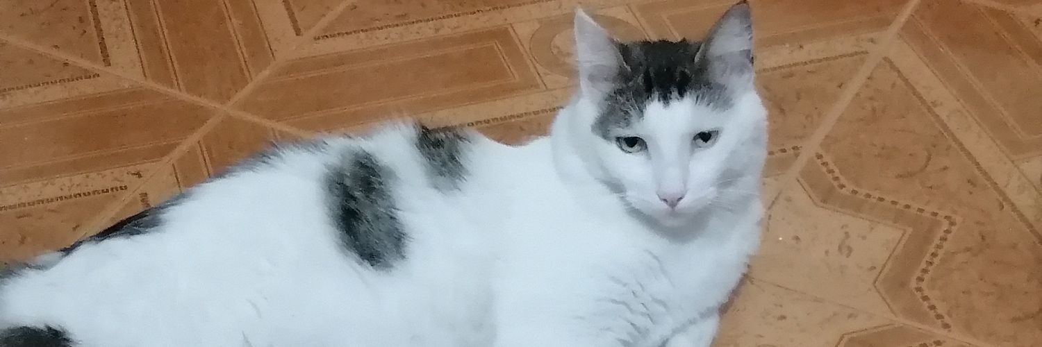white0007's profile banner image