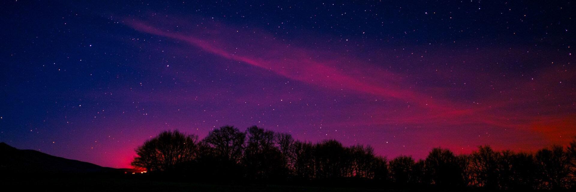 jollins's profile banner image
