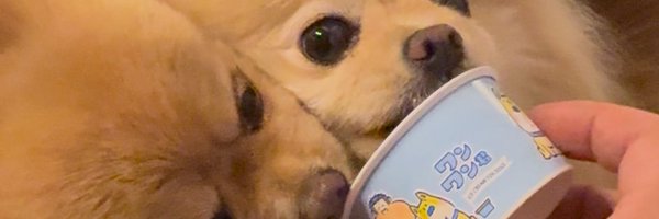 Hiiragi20210510 Profile Banner