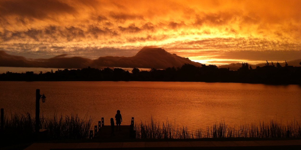 David Rotemberg 🎗️🇦🇷🇮🇱🇺🇦 banner