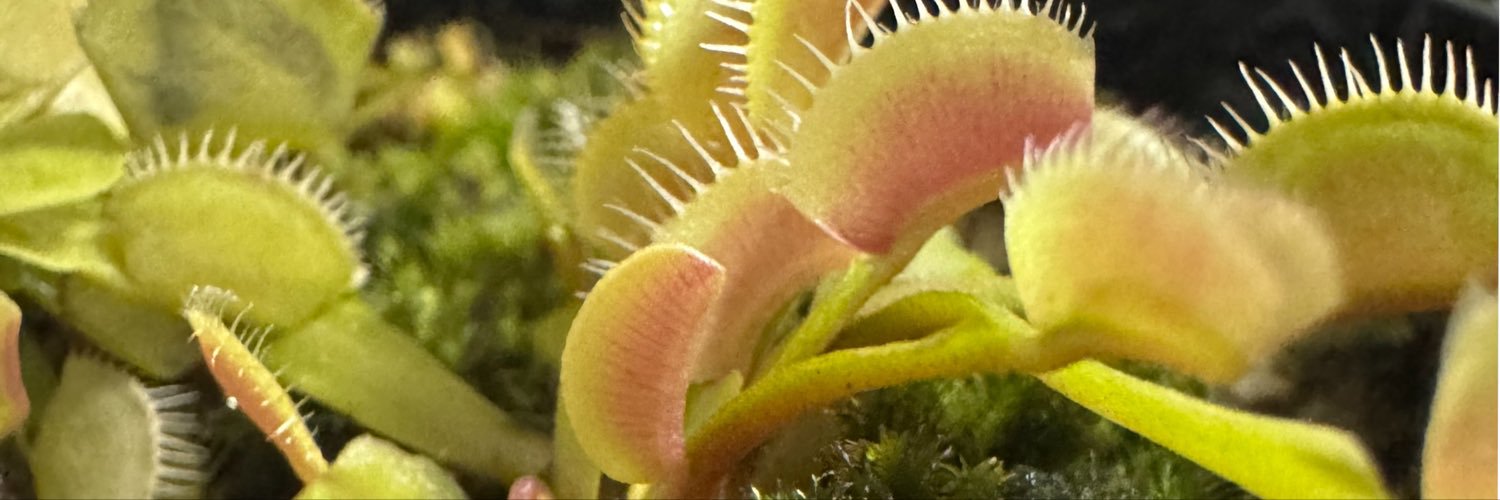 tarako_1218's profile banner image