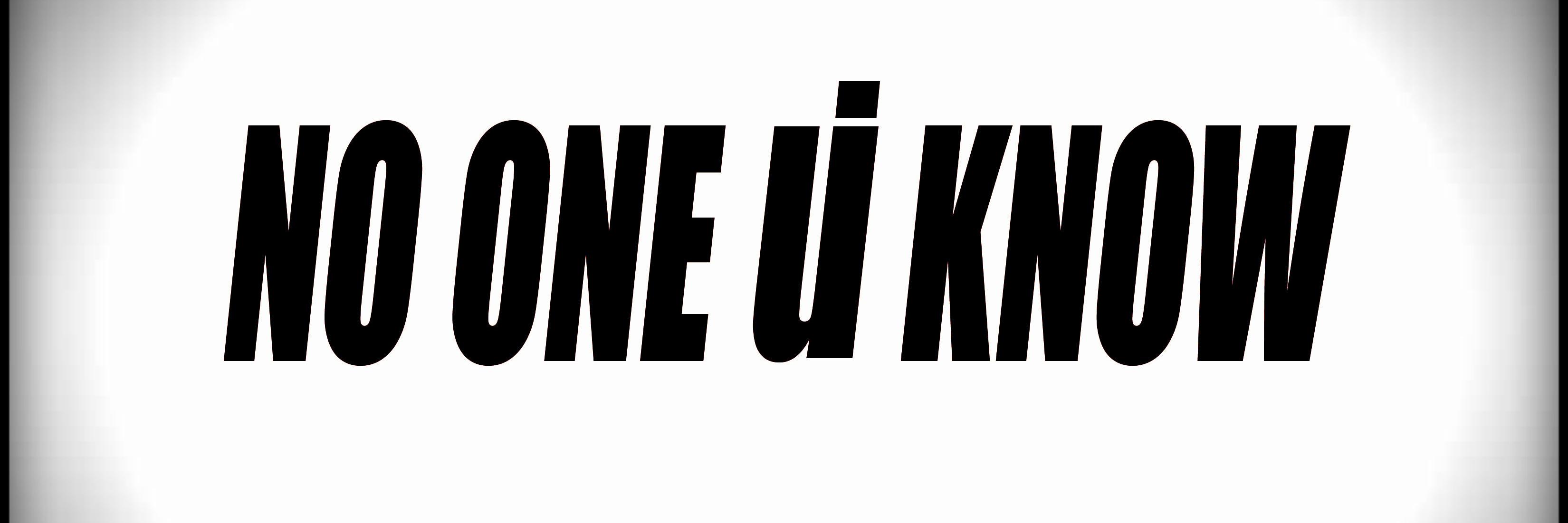 thenooneuknow's profile banner image