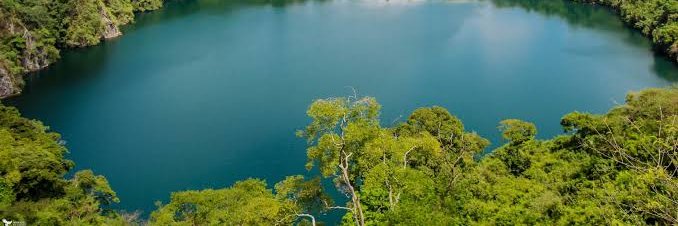 conserve_uganda's profile banner image