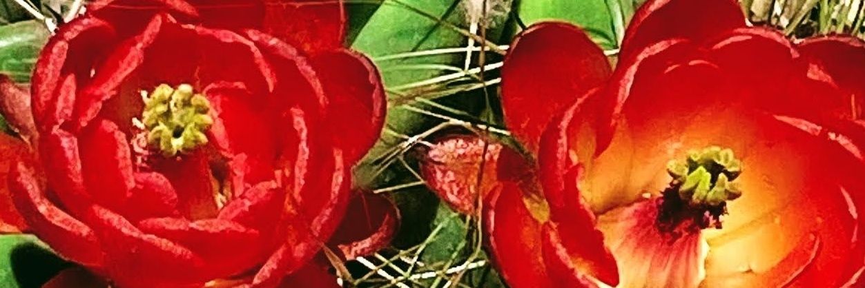 Bootsie is Gobsmacked🇺🇦🌊✊🏾🏳️‍🌈☮️ banner