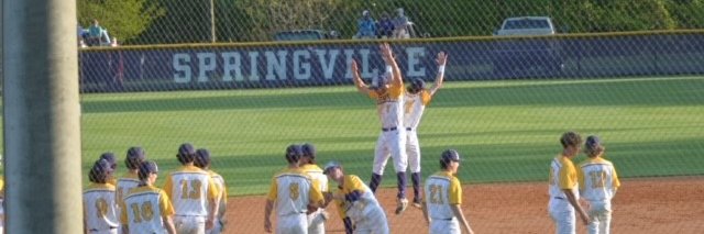 Springville Baseball banner