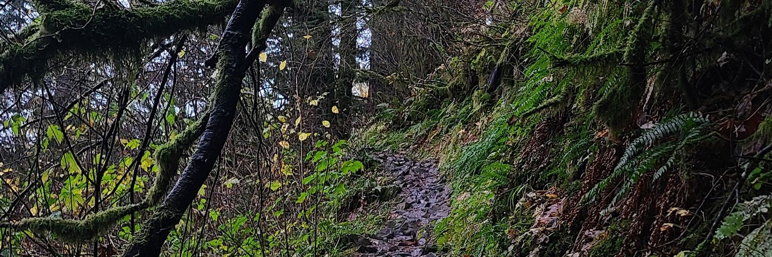 helloitswick's profile banner image