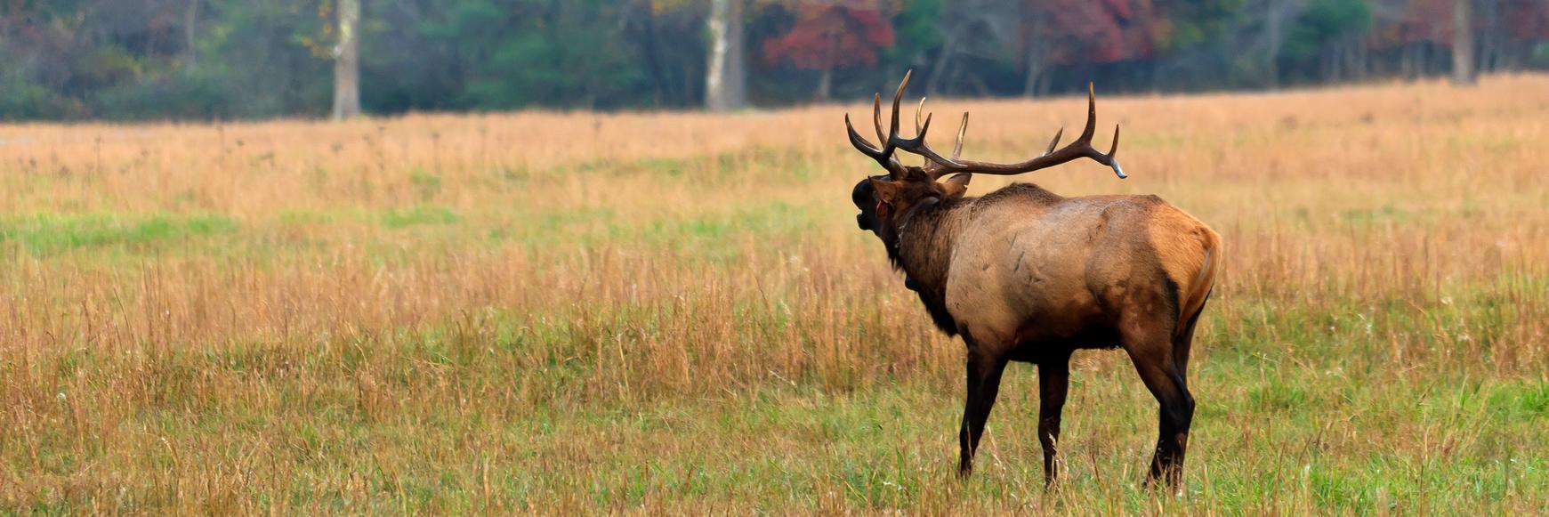 RKHuntingCo's profile banner image