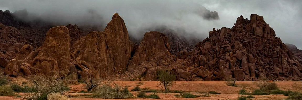 د.يزيد عنتر | Dr. Yazid Antar banner