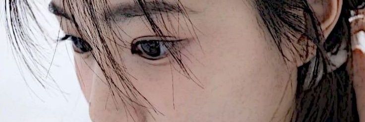 aulean banner