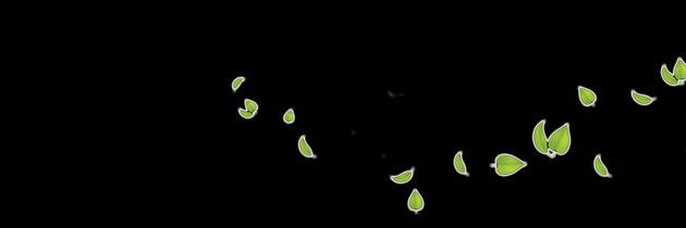 — a n n i e. banner