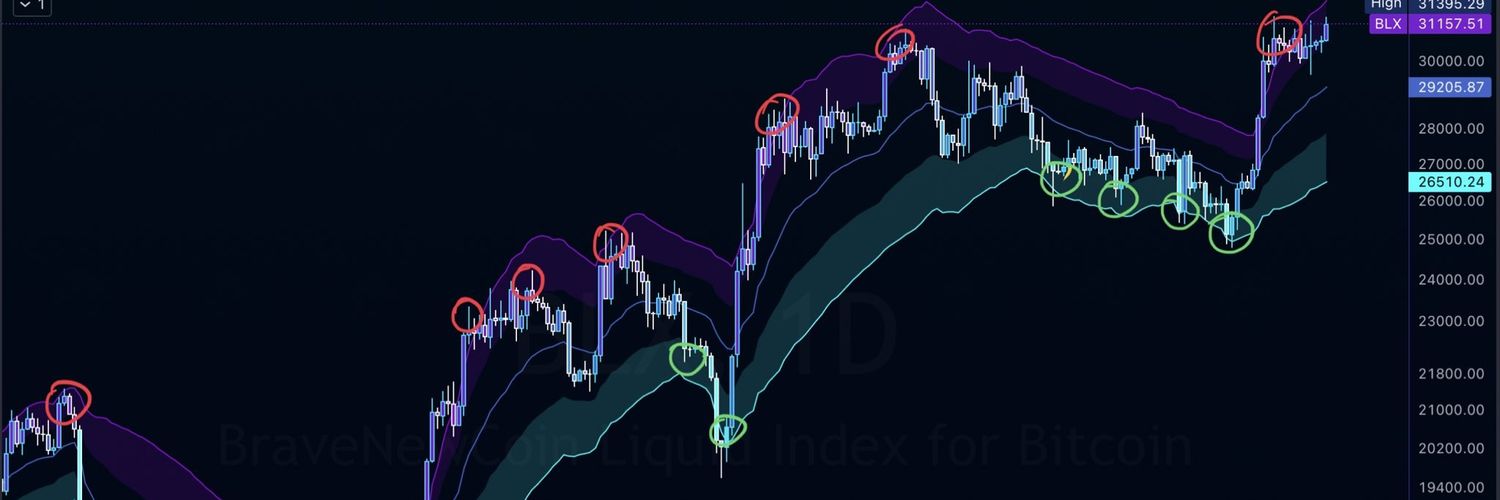 👑 DinoCrypto888_🪙_Raizer.fi banner