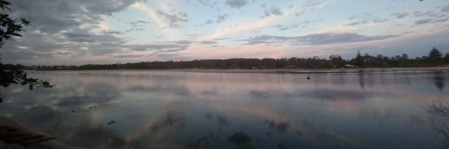 XP.Orangeninja banner