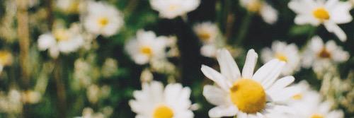 costadeborah_'s profile banner image