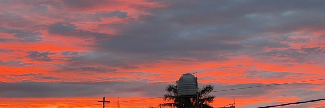 PaolinaCeja's profile banner image
