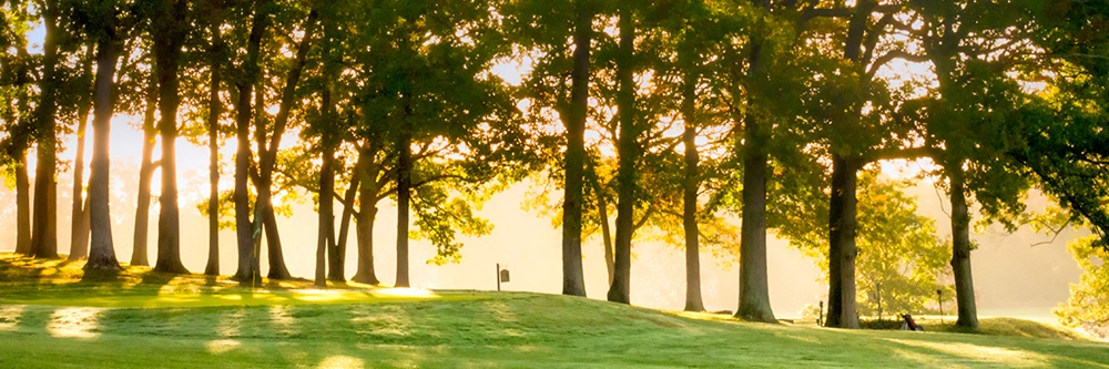 FoxburgGolf's profile banner image