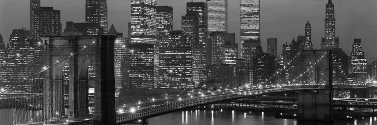 Buyer Lanksy banner