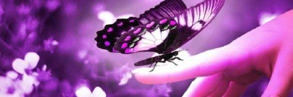 chiquitoyemo's profile banner image