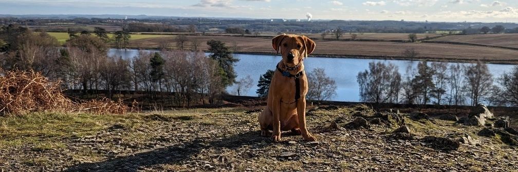 hannahlufc92's profile banner image
