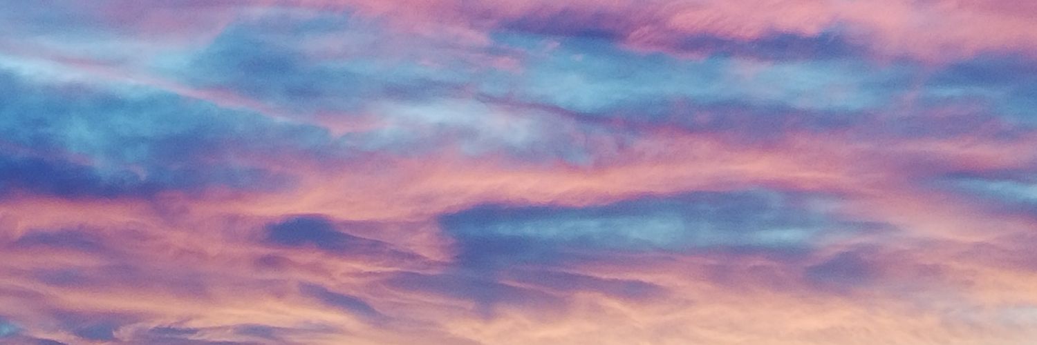 nickyzimerman's profile banner image