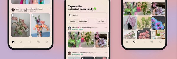 choosechoosii Profile Banner