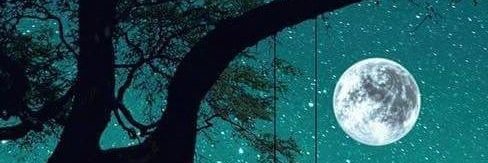 smag452's profile banner image