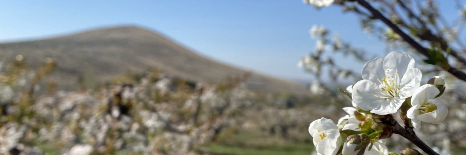 KitzkeCellars's profile banner image