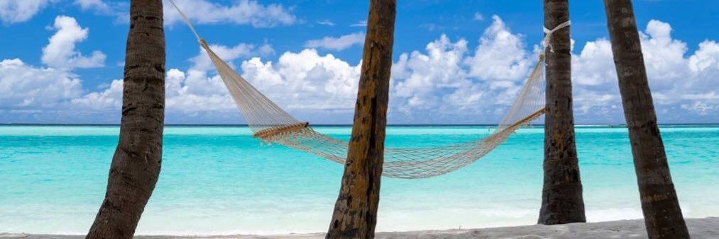 AishaShahoo's profile banner image