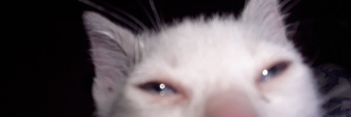 n_a_da_3's profile banner image