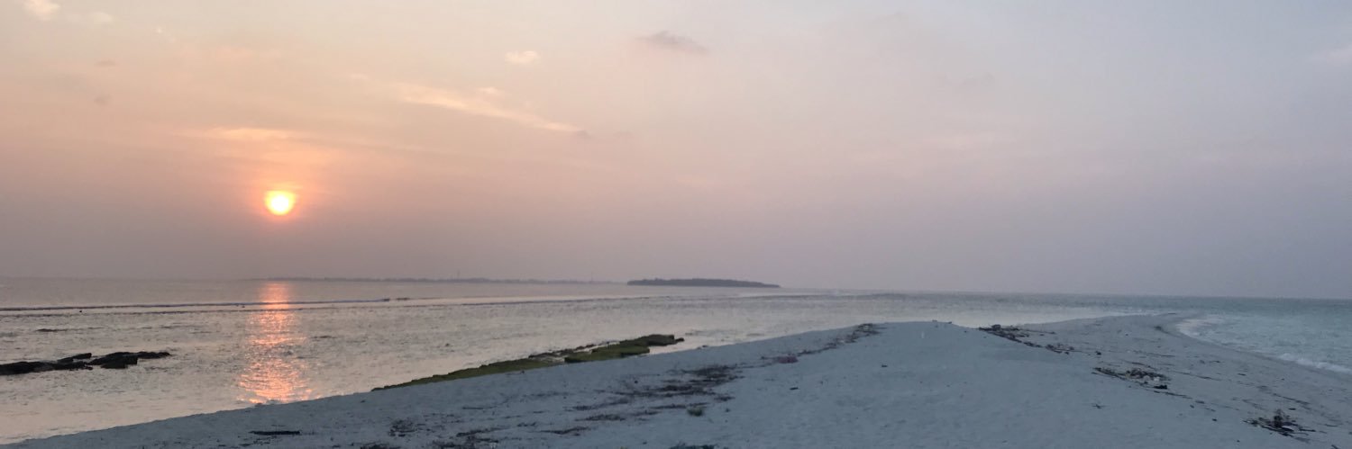 Thol®️🇵🇸 BRO banner