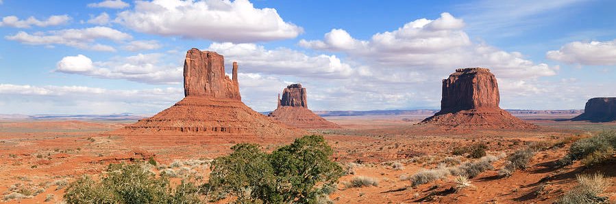 AmericaIsBack banner